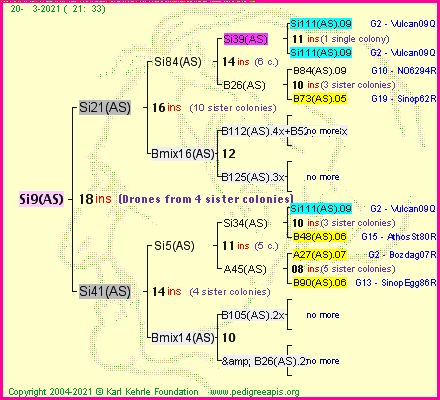 Pedigree of Si9(AS) :
four generations presented
it's temporarily unavailable, sorry!