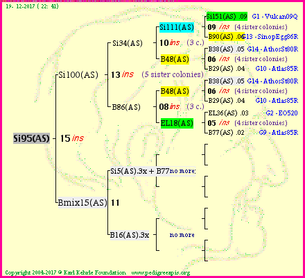 Pedigree of Si95(AS) :
four generations presented
it's temporarily unavailable, sorry!