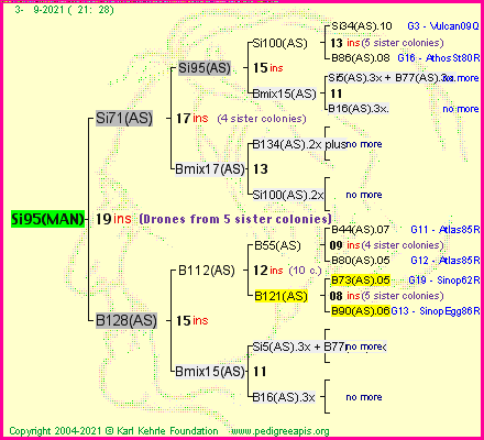 Pedigree of Si95(MAN) :
four generations presented
it's temporarily unavailable, sorry!