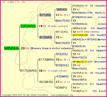 Pedigree of Si95(SGS) :
four generations presented
it's temporarily unavailable, sorry!