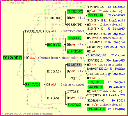 Pedigree of T012(DDC) :
four generations presented