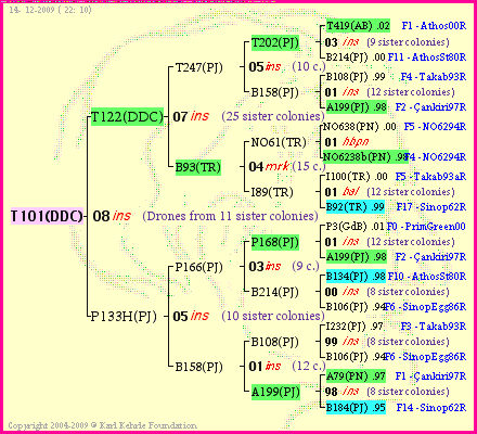 Pedigree of T101(DDC) :
four generations presented