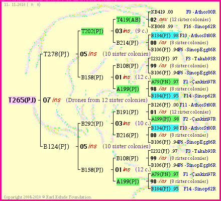 Pedigree of T265(PJ) :
four generations presented