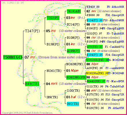 Pedigree of T508(CGC) :
four generations presented