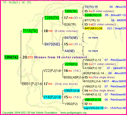 Pedigree of T89(TK) :
four generations presented
it's temporarily unavailable, sorry!