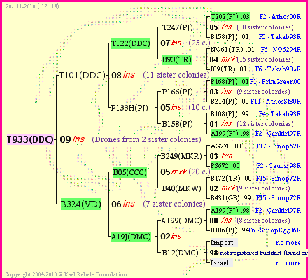 Pedigree of T933(DDC) :
four generations presented