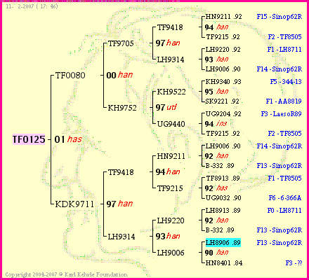 Pedigree of TF0125 :
four generations presented