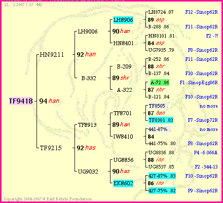 Pedigree of TF9418 :
four generations presented