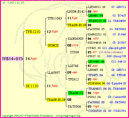 Pedigree of TFB14-015 :
four generations presented