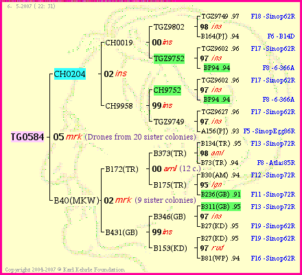 Pedigree of TG0584 :
four generations presented