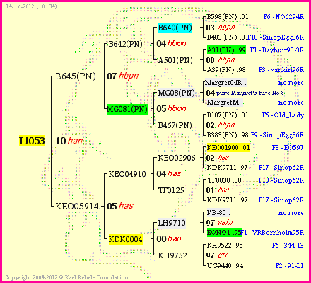 Pedigree of TJ053 :
four generations presented