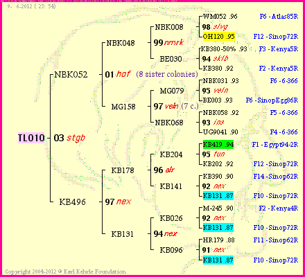 Pedigree of TL010 :
four generations presented