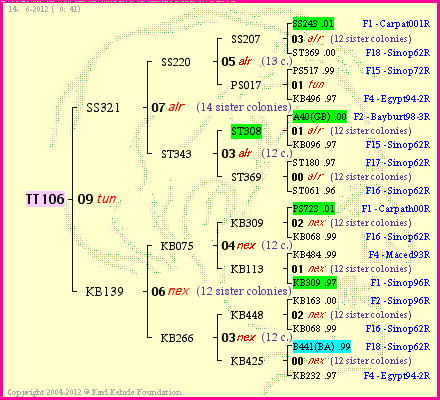 Pedigree of TT106 :
four generations presented