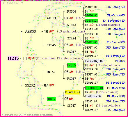 Pedigree of TT215 :
four generations presented