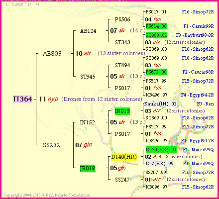 Pedigree of TT364 :
four generations presented