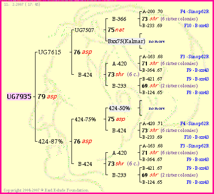 Pedigree of UG7935 :
four generations presented