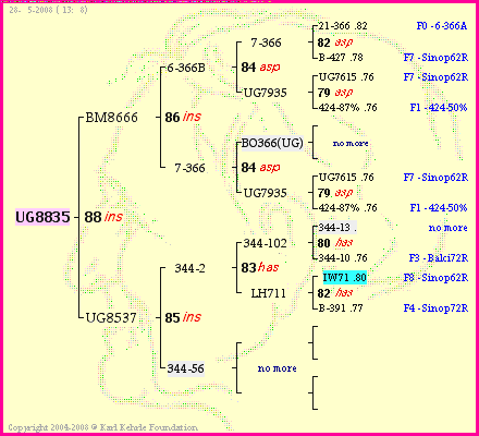 Pedigree of UG8835 :
four generations presented