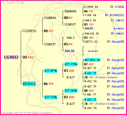 Pedigree of UG9032 :
four generations presented