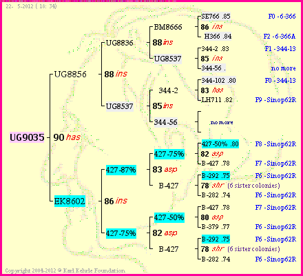 Pedigree of UG9035 :
four generations presented