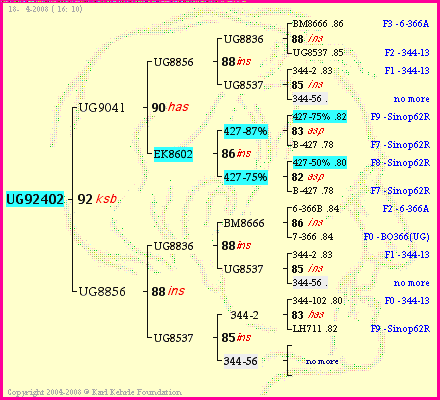 Pedigree of UG92402 :
four generations presented
it's temporarily unavailable, sorry!