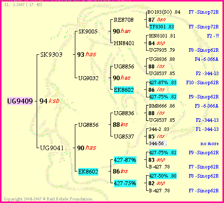 Pedigree of UG9409 :
four generations presented