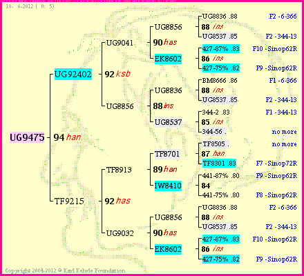 Pedigree of UG9475 :
four generations presented