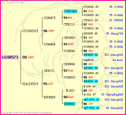 Pedigree of UG98573 :
four generations presented