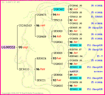 Pedigree of UG99553 :
four generations presented