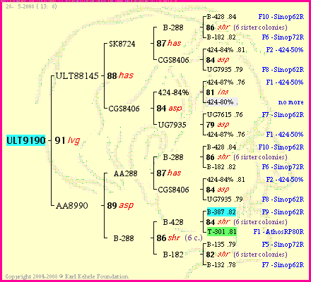 Pedigree of ULT9190 :
four generations presented