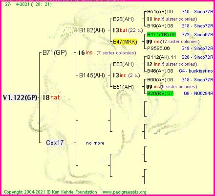 Pedigree of V1.122(GP) :
four generations presented
it's temporarily unavailable, sorry!