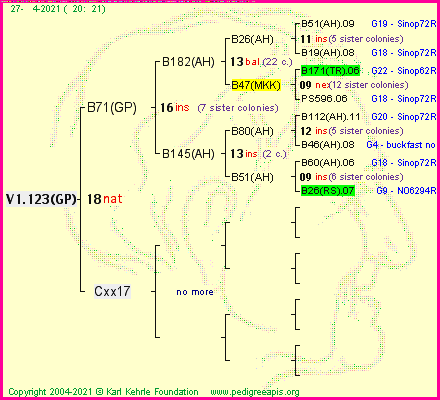 Pedigree of V1.123(GP) :
four generations presented
it's temporarily unavailable, sorry!