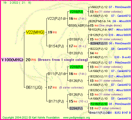 Pedigree of V100(MHG) :
four generations presented
it's temporarily unavailable, sorry!