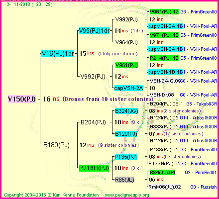 Pedigree of V150(PJ) :
four generations presented<br />it's temporarily unavailable, sorry!