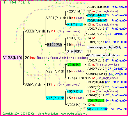 Pedigree of V158(NJO) :
four generations presented
it's temporarily unavailable, sorry!