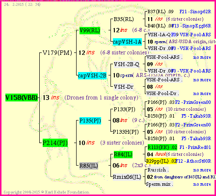 Pedigree of V158(VBB) :
four generations presented