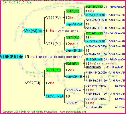 Pedigree of V16H(PJ)1dr :
four generations presented<br />it's temporarily unavailable, sorry!