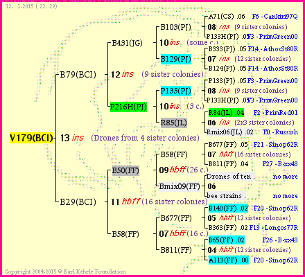 Pedigree of V179(BCI) :
four generations presented