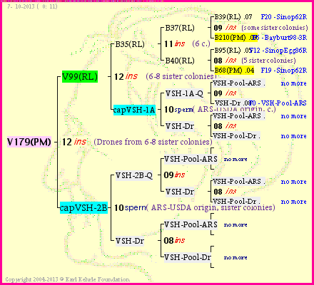 Pedigree of V179(PM) :
four generations presented