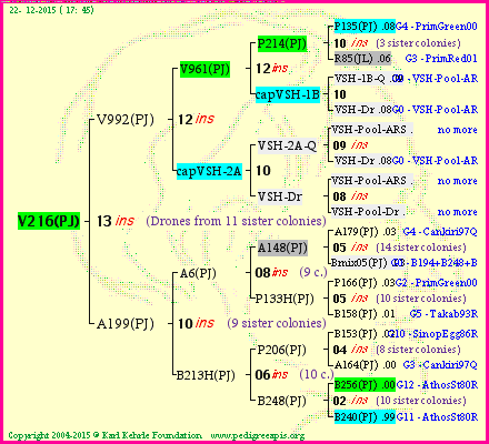 Pedigree of V216(PJ) :
four generations presented<br />it's temporarily unavailable, sorry!