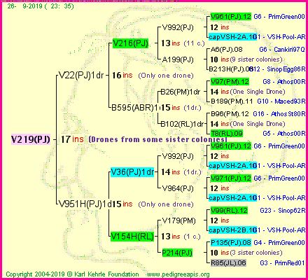 Pedigree of V219(PJ) :
four generations presented<br />it's temporarily unavailable, sorry!