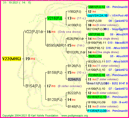 Pedigree of V22(MHG) :
four generations presented
it's temporarily unavailable, sorry!