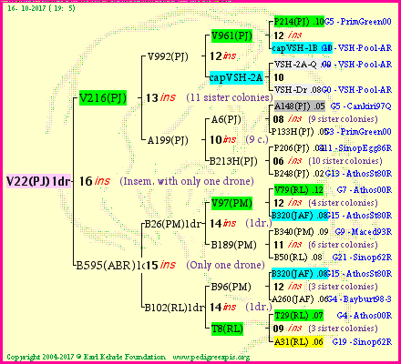 Pedigree of V22(PJ)1dr :
four generations presented
it's temporarily unavailable, sorry!