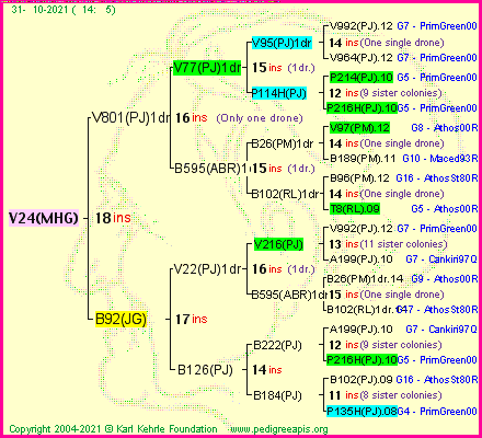 Pedigree of V24(MHG) :
four generations presented
it's temporarily unavailable, sorry!