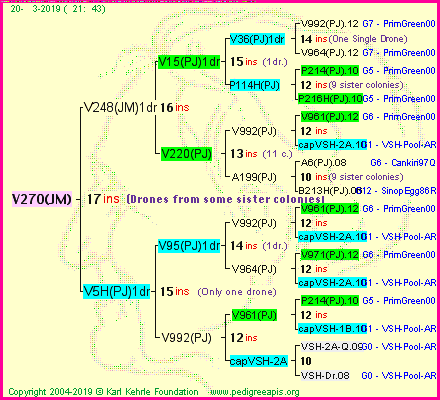 Pedigree of V270(JM) :
four generations presented<br />it's temporarily unavailable, sorry!