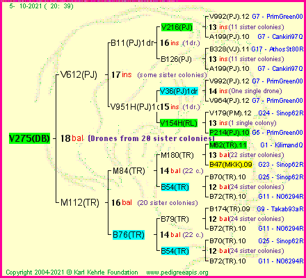 Pedigree of V275(DB) :
four generations presented
it's temporarily unavailable, sorry!