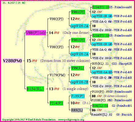 Pedigree of V288(PM) :
four generations presented