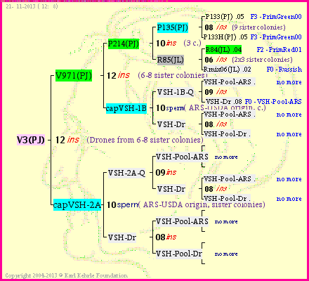 Pedigree of V3(PJ) :
four generations presented