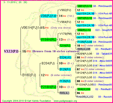 Pedigree of V322(PJ) :
four generations presented<br />it's temporarily unavailable, sorry!