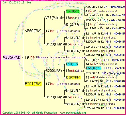 Pedigree of V335(PM) :
four generations presented
it's temporarily unavailable, sorry!