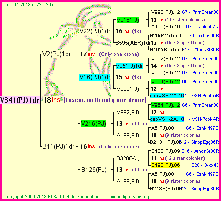 Pedigree of V341(PJ)1dr :
four generations presented<br />it's temporarily unavailable, sorry!